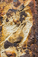 Patina 50